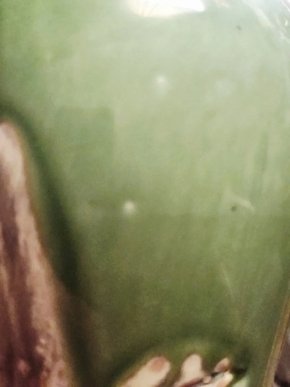 Green Ceramic Vase with Floral Relief